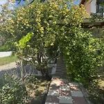 Gæstehus Koala Place Vasiliki