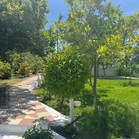 Koala Place Vasiliki