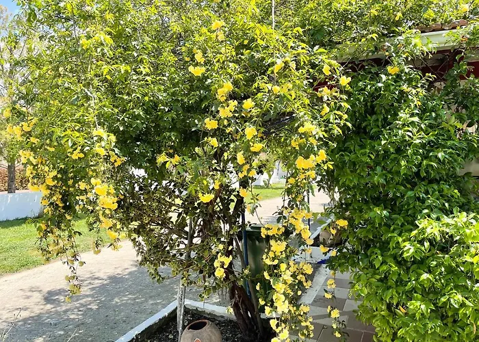 Koala Place Vendégház