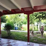 Koala Place Vasiliki (Lefkada)