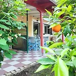 Guest house Koala Place 3*