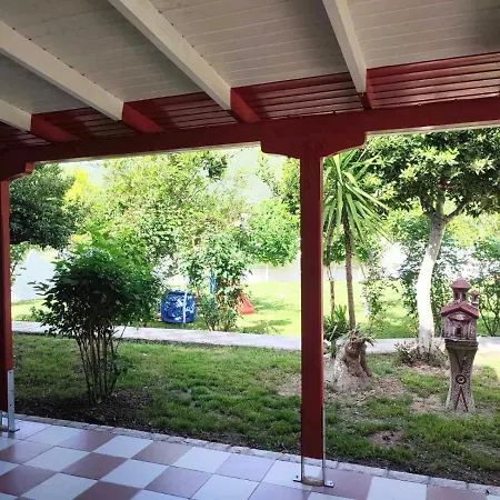 Koala Place Vasilikí
