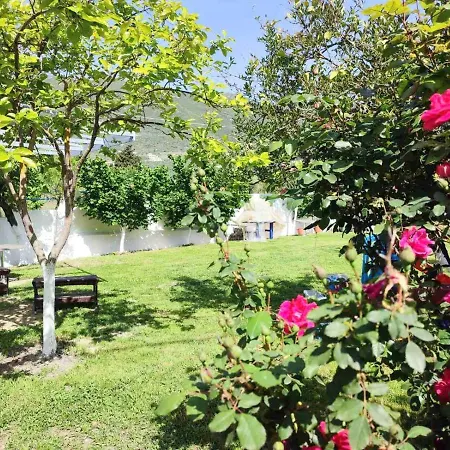 Koala Place Guest house Vasiliki (Lefkada)