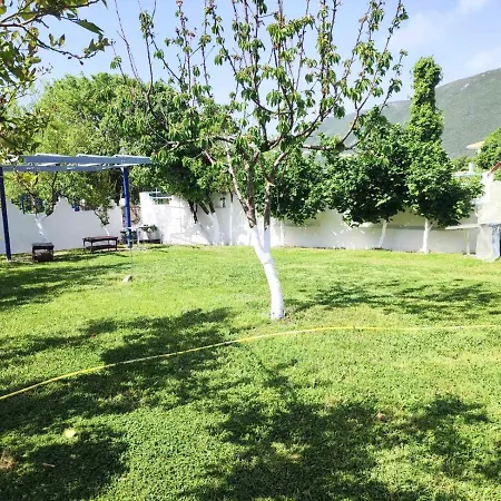 Guest house Koala Place Vasiliki (Lefkada)