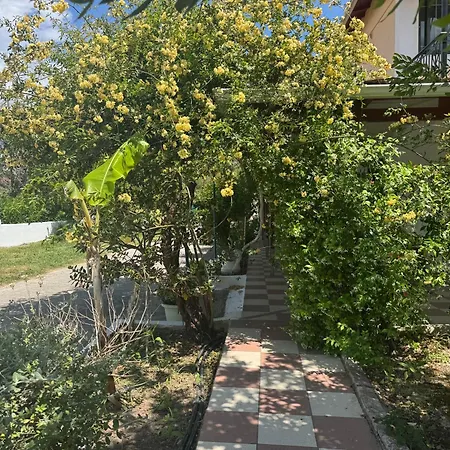 Guest house Koala Place Vasiliki (Lefkada)