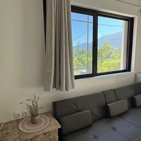 Koala Place Guest house *