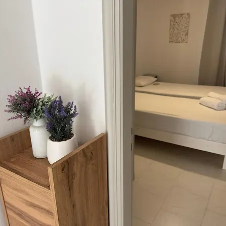 Koala Place Василики