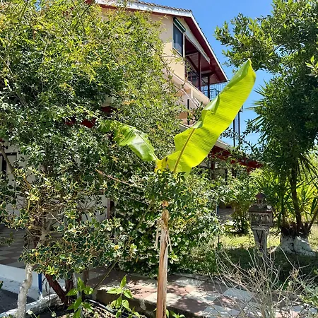 Guest house Koala Place Vasiliki (Lefkada)