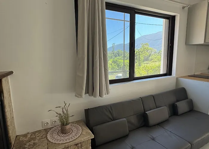 Koala Place Гостевой дом 3*